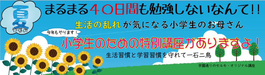 府中学園通り教室 - 個別学習のセルモ