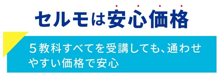 個別学習セルモ恋ヶ窪教室_安心価格